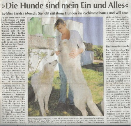 Über mich Über meine Liebe zu Hunden