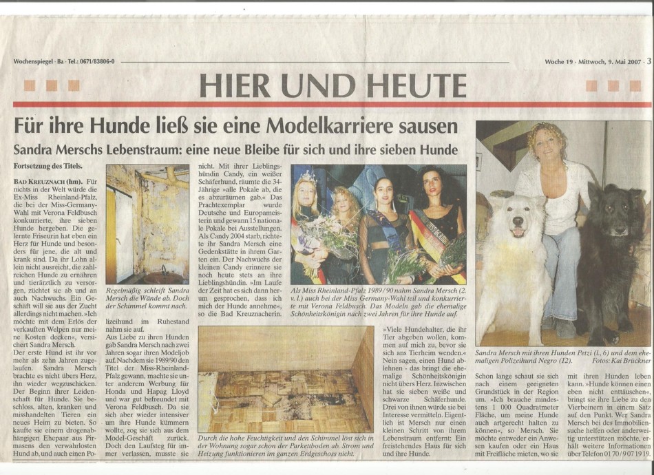 Über mich Über meine Liebe zu Hunden